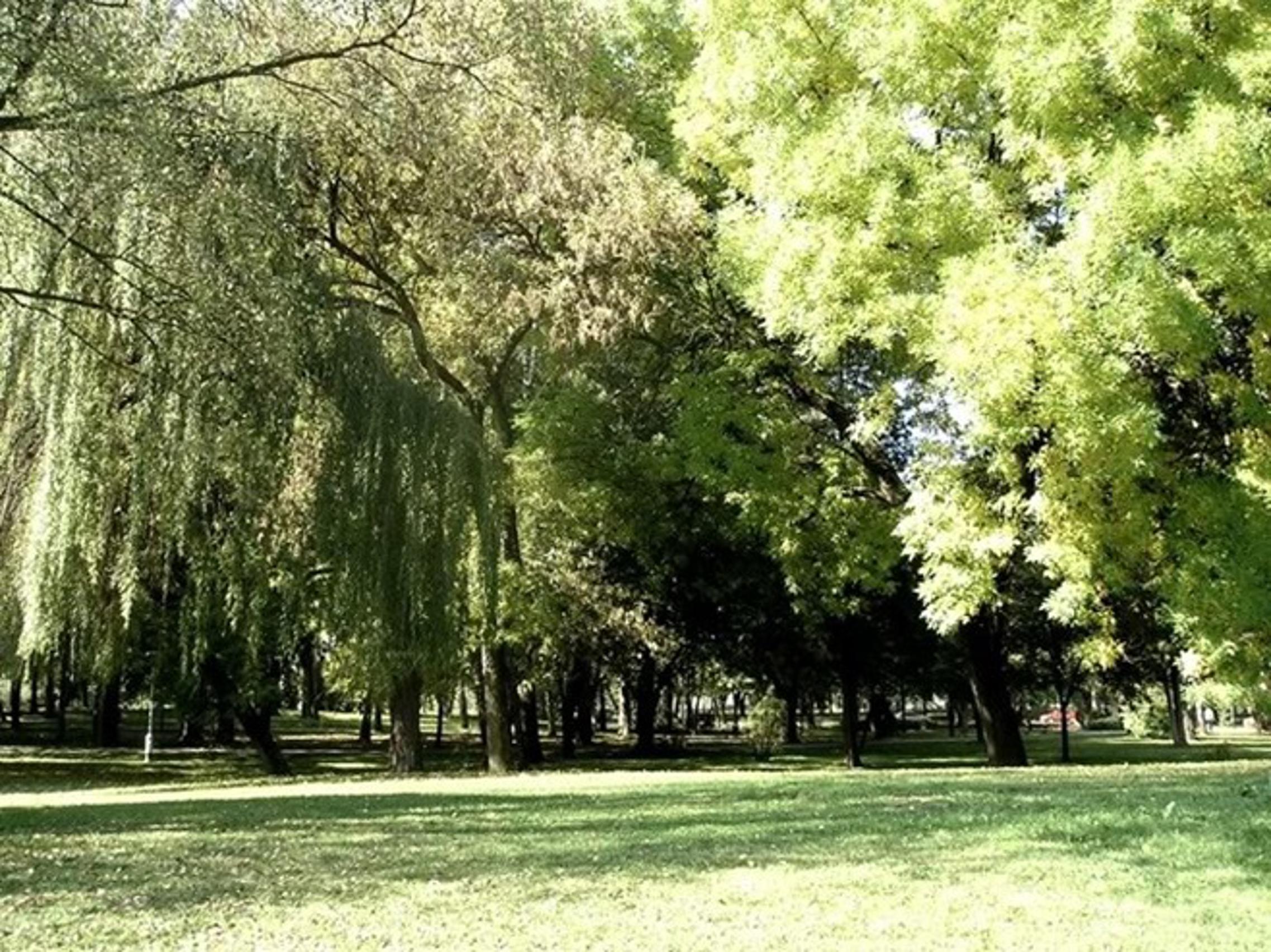 Gradski park u Slavonskom Brodu tijekom ljeta