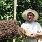 Marko Stanić (59) iz Dragalića 35 godina se bavi pčelarstvom