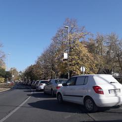Dugačka kolona sa Šetališta braće Radić prema Vukovarskoj ulici